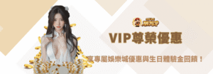 👑【朕天下娛樂城】VIP尊榮優惠全新升級｜享專屬娛樂城優惠與生日體驗金回饋！
